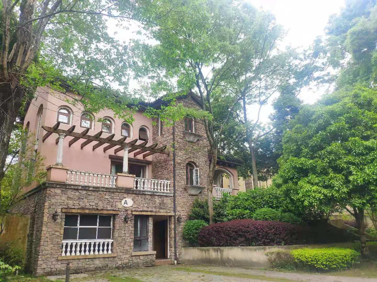 European-style villas