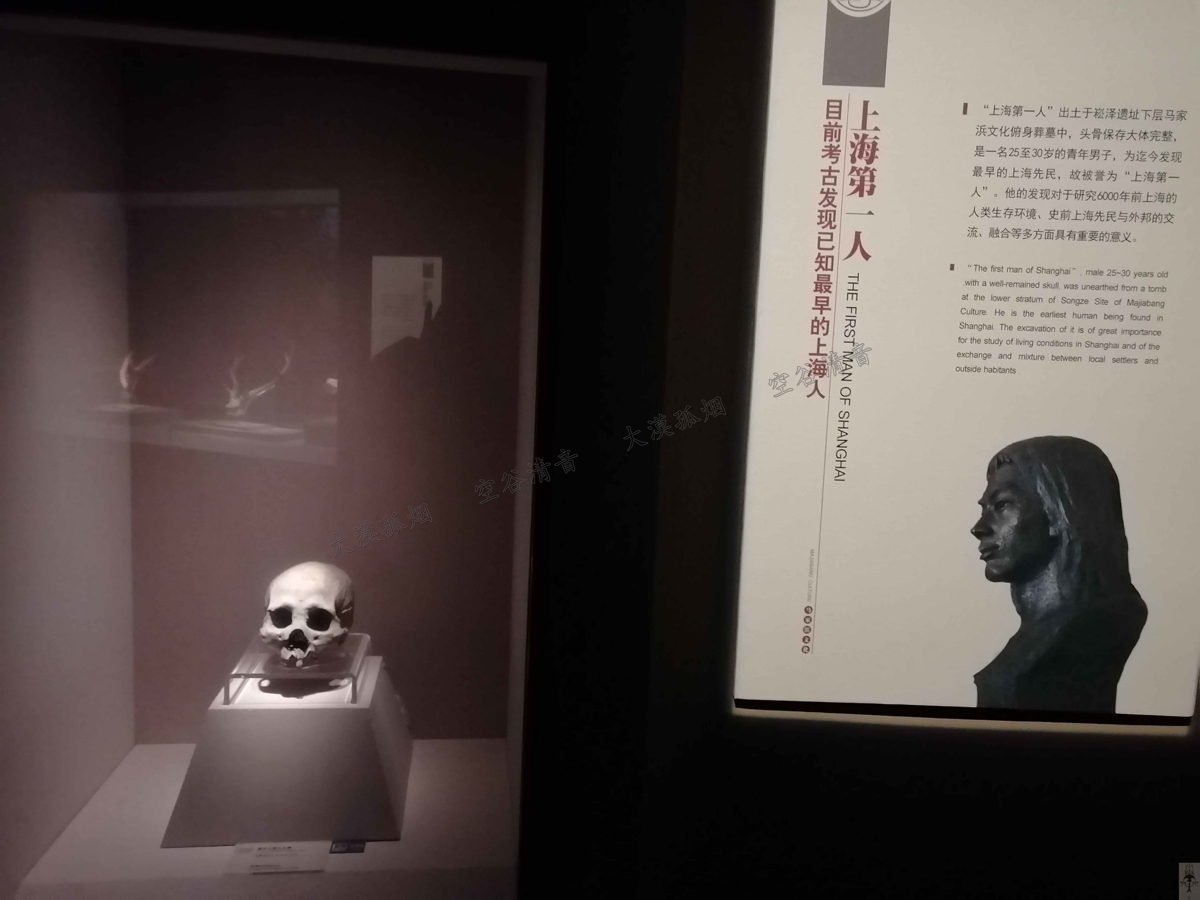 Ancient skull display