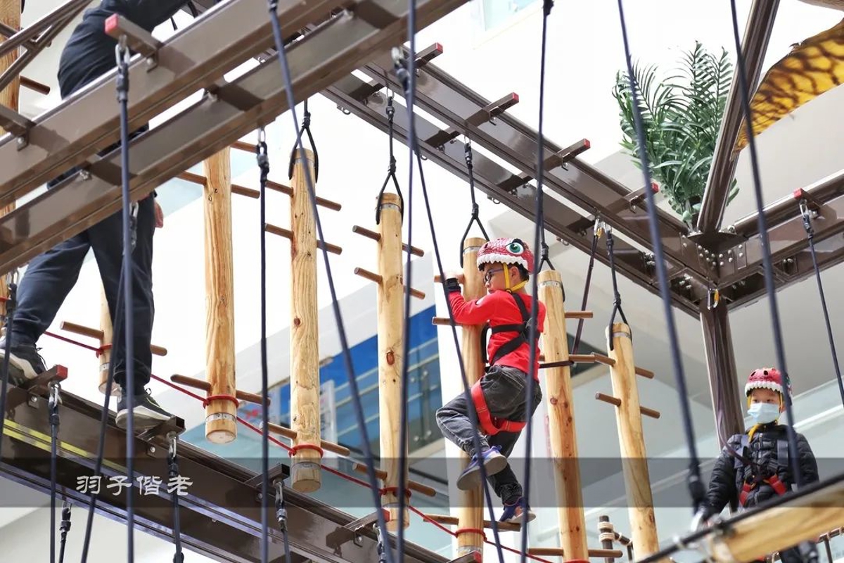 Jurassic Zone dinosaurs