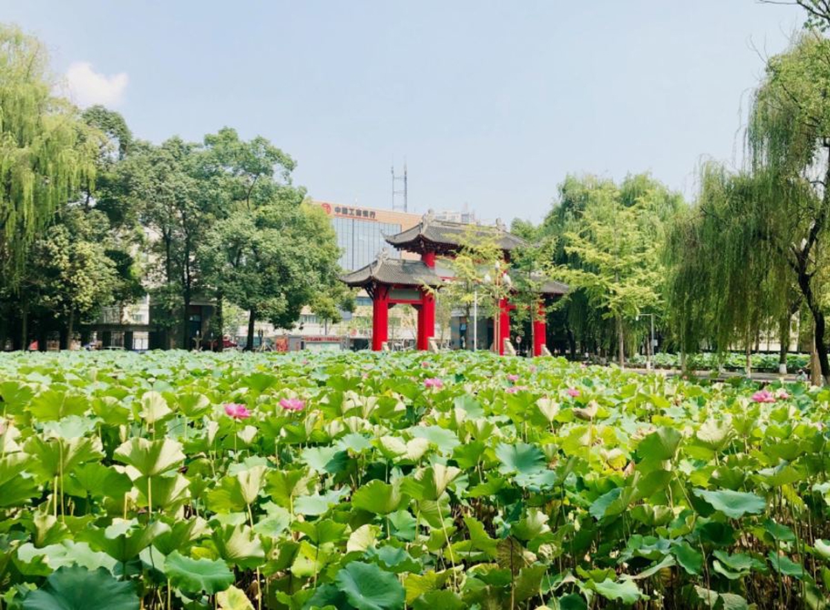 Sichuan University Administration Building