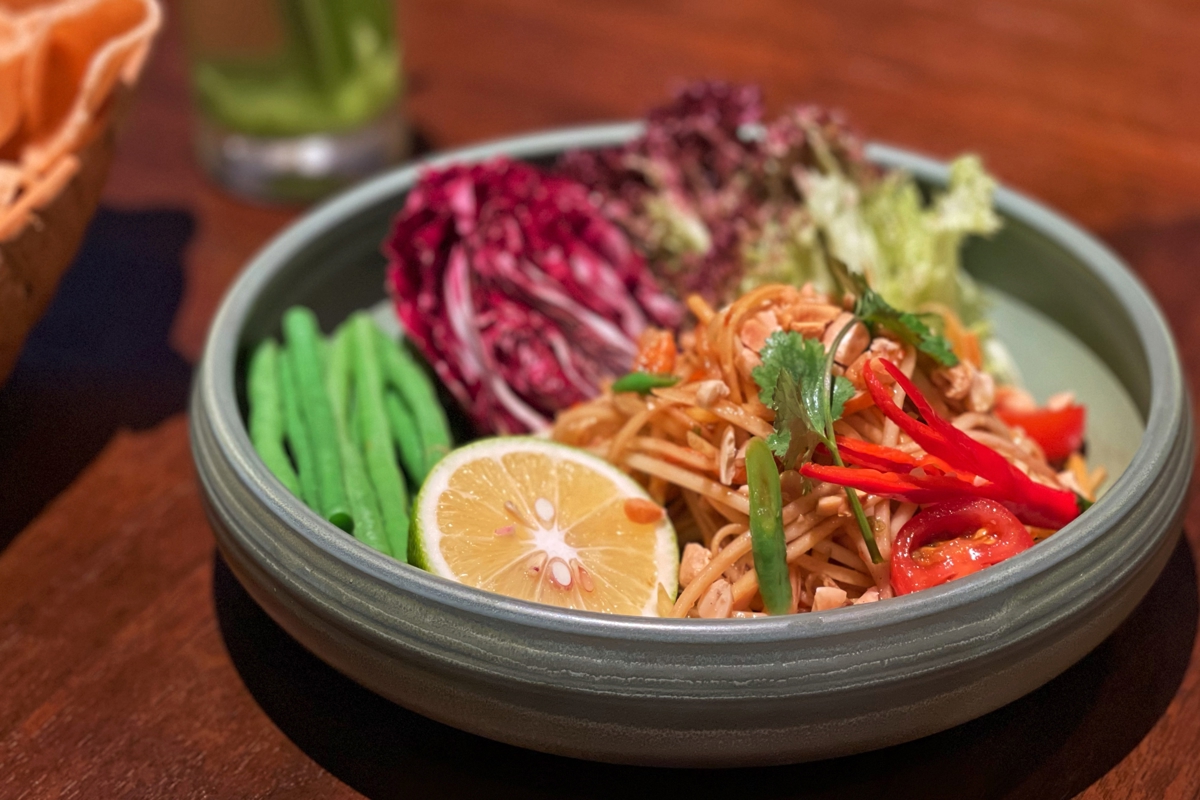 Rainforest garden paths