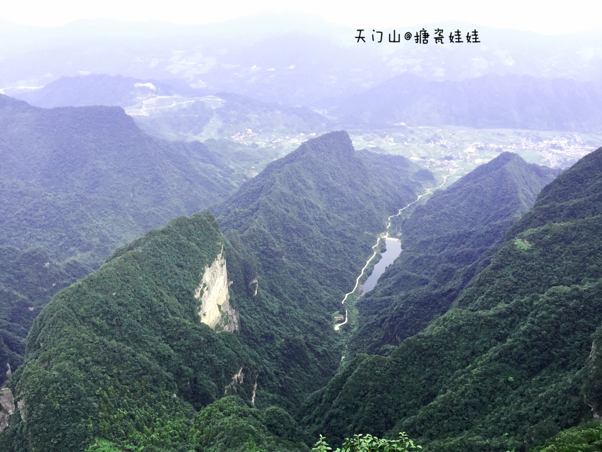 Chayan Yuese Milk Tea