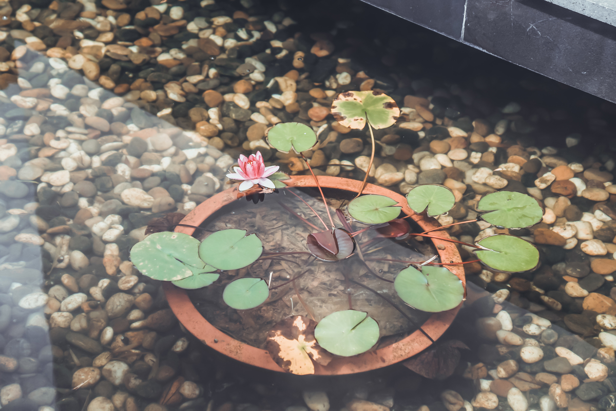 Floral Hotel interior