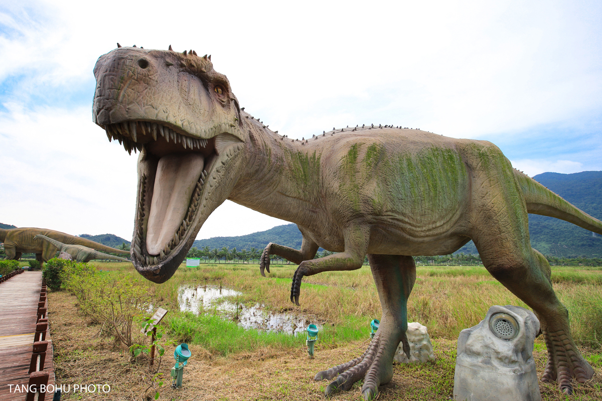 Dinosaur in rice field