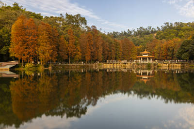 Shenzhen Fairy Lake Botanical Garden