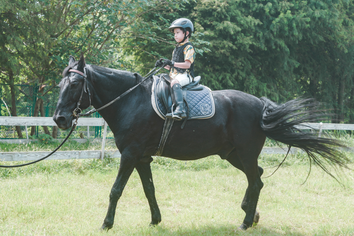 European Style Architecture