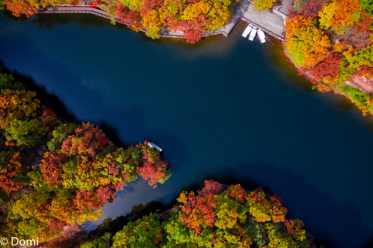 Aerial view of valley
