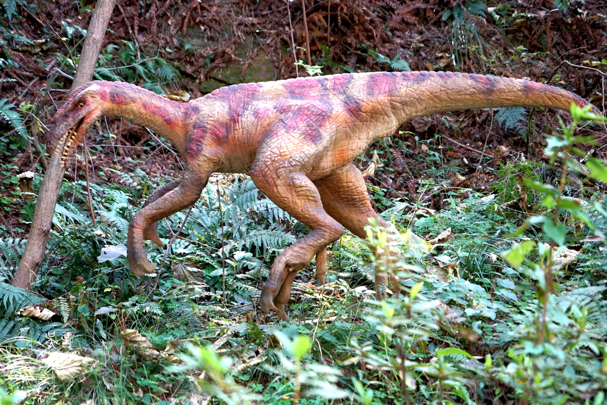 Visitors Interacting with Dinosaurs