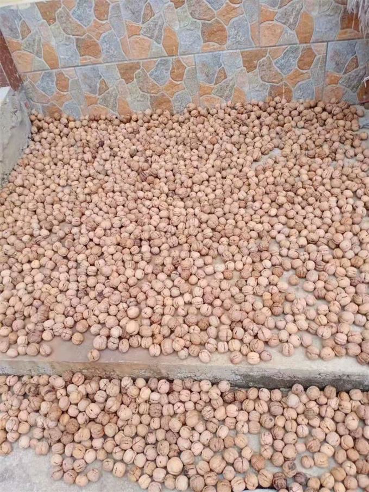 Authentic rural experience