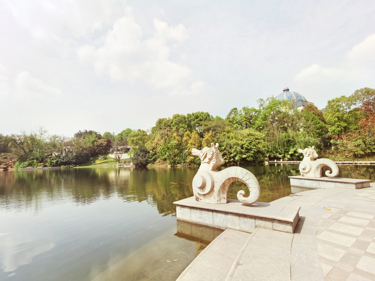 Child observing butterflies up close