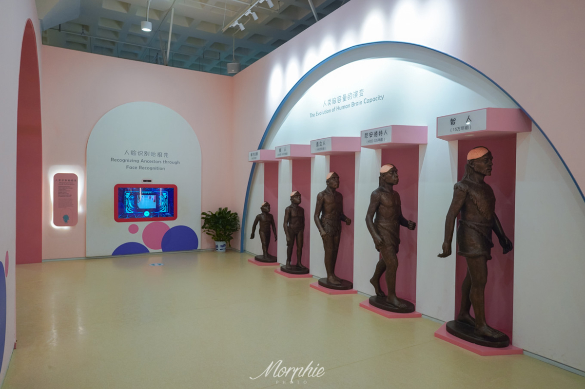 Interactive learning