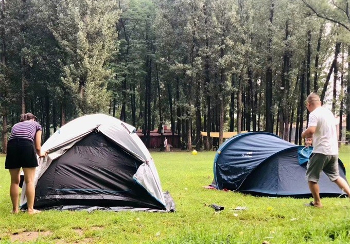 Forest trail scenery