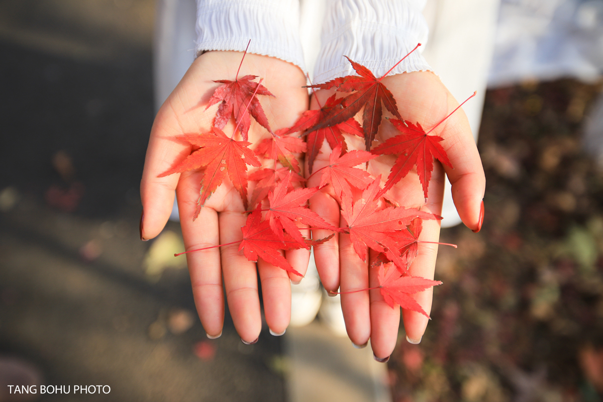 Thousand Buddha Rocks