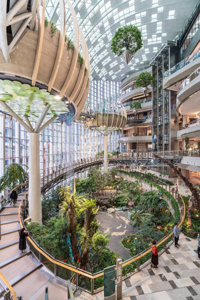 The Rainforest at Guomao Park – 'Forest Bathed in Light'