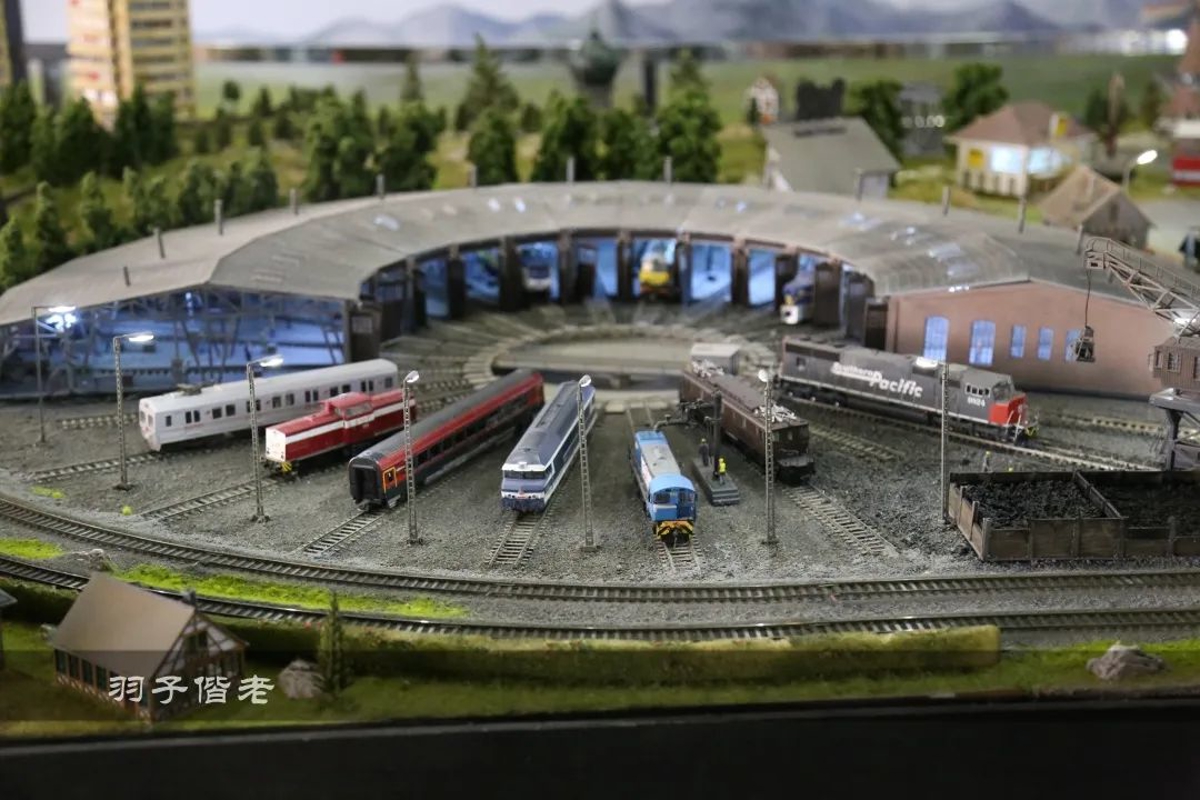 Toy collection display