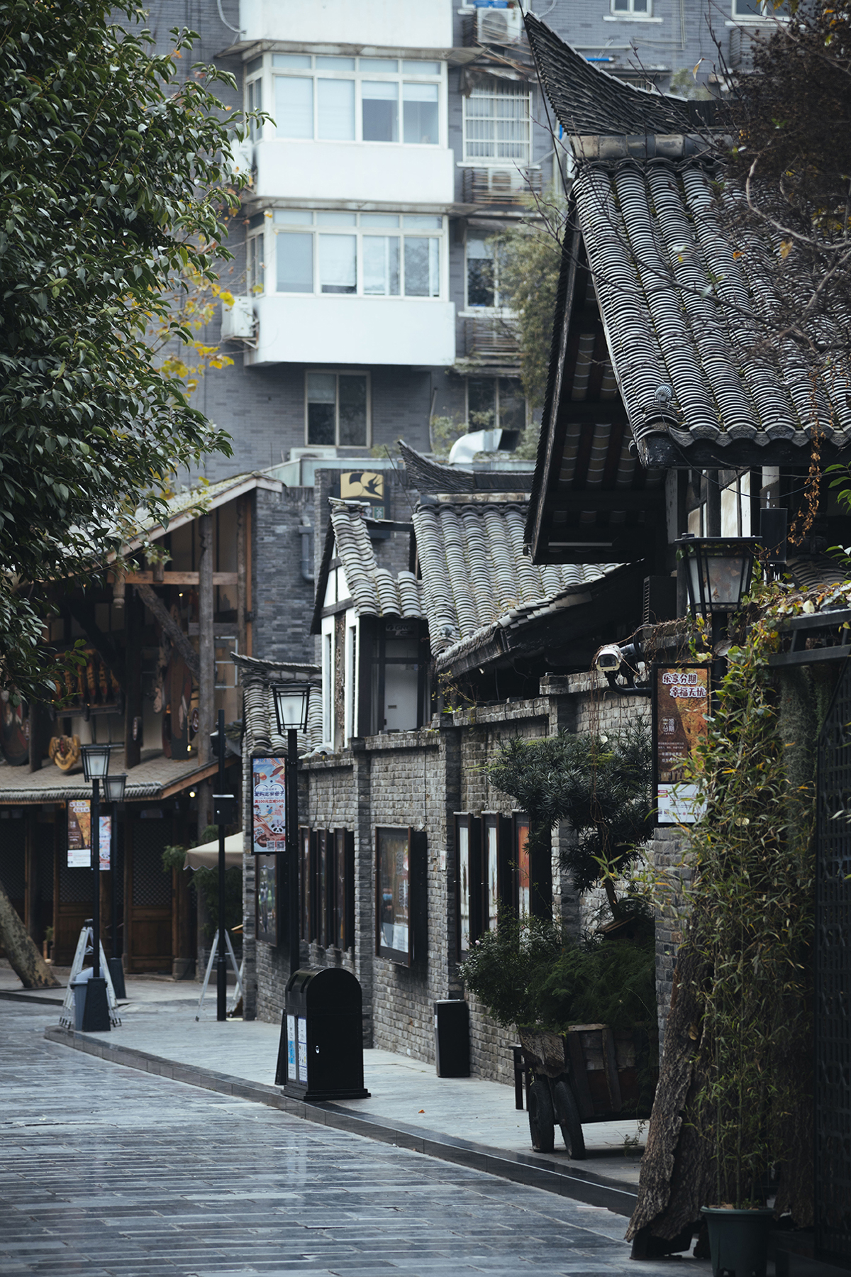 Afternoon light in the alley