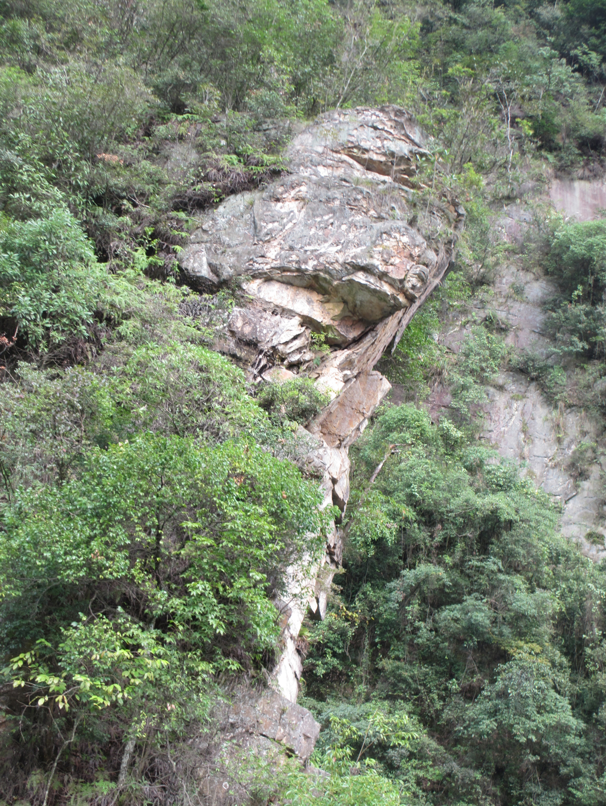 Fairy mirror formation