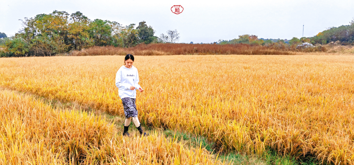 Cover Image - Huangpi Rural Landscape