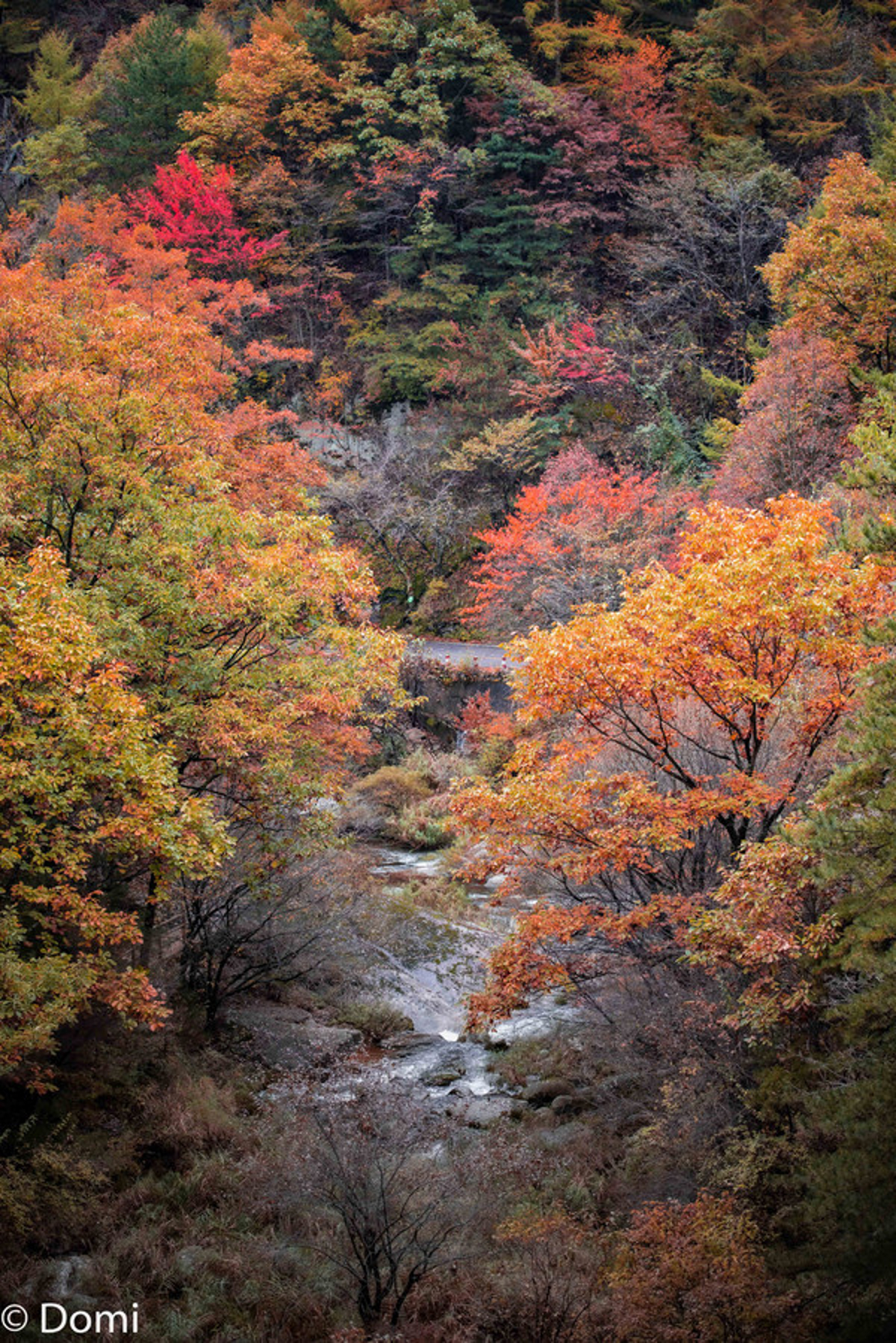 Jiulong Waterfall