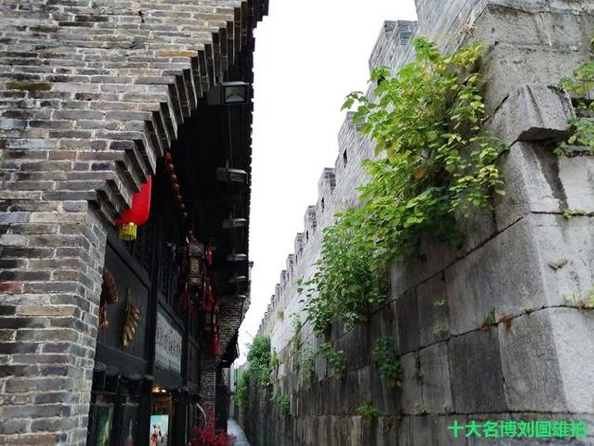 City wall covered with grass
