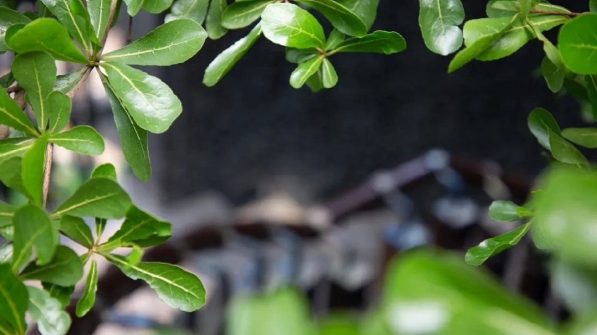 Architectural beauty