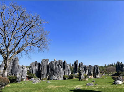 Jianfeng Pool in the Greater Stone Forest