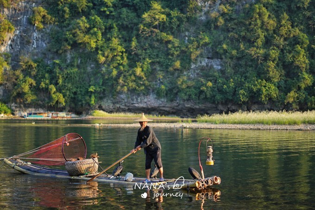 Cormorant fisherman on Li River
