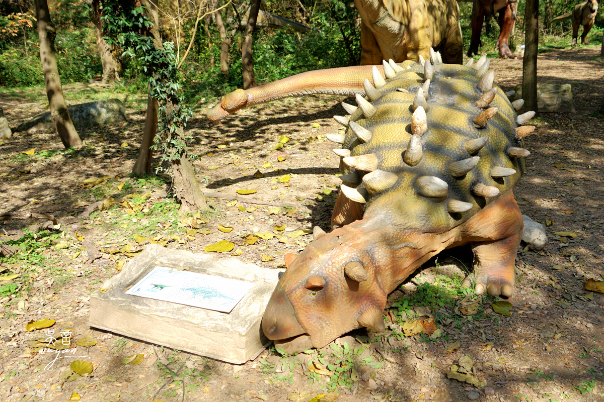 Dinosaur Photo Opportunities