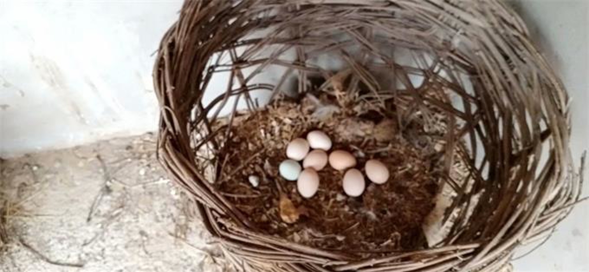 Mountain village life