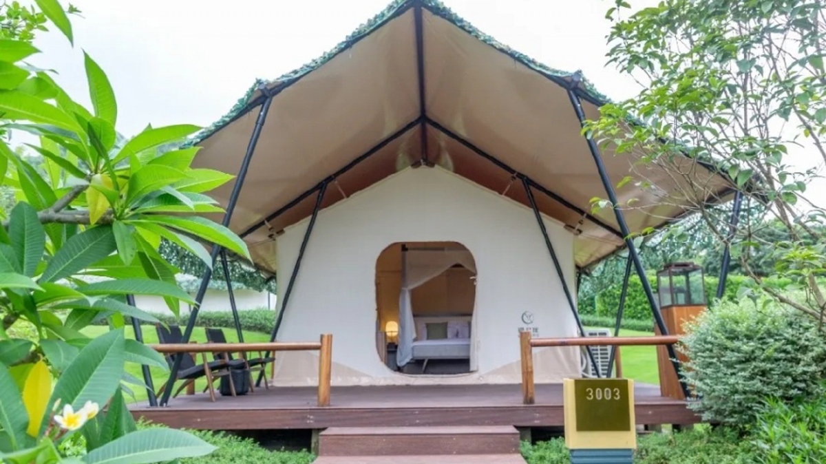 Starry night experience