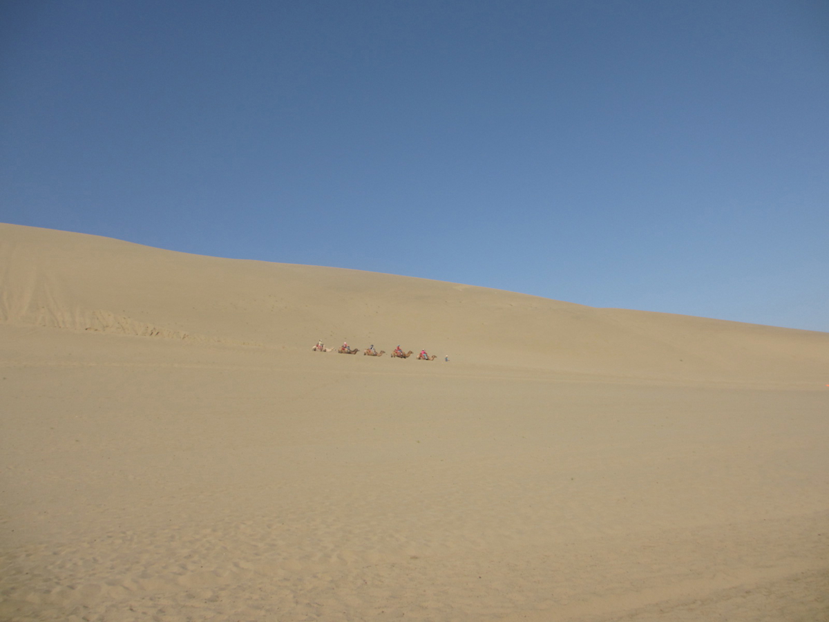 Camel ride through the dunes