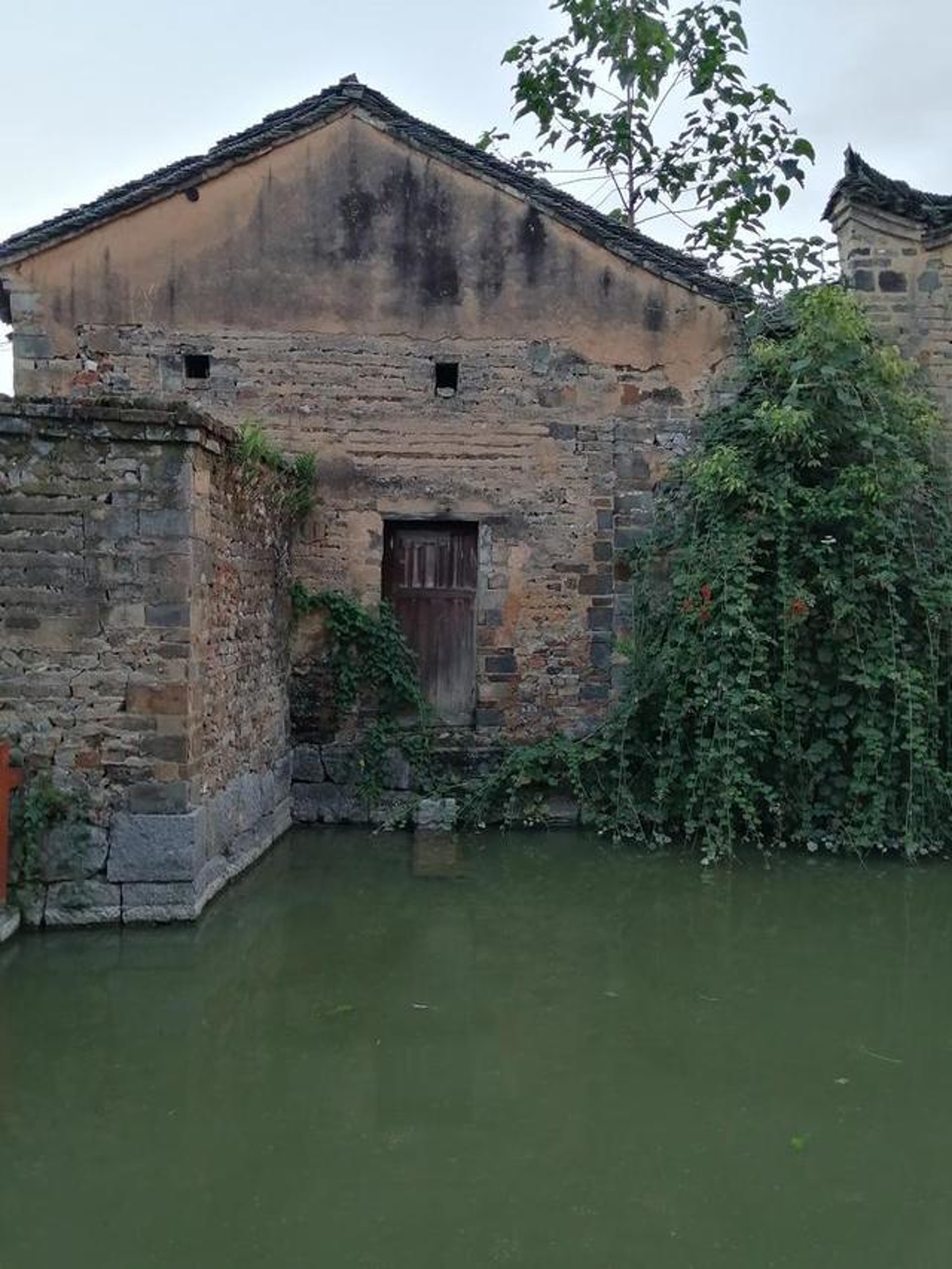 Pond reflection at sunset