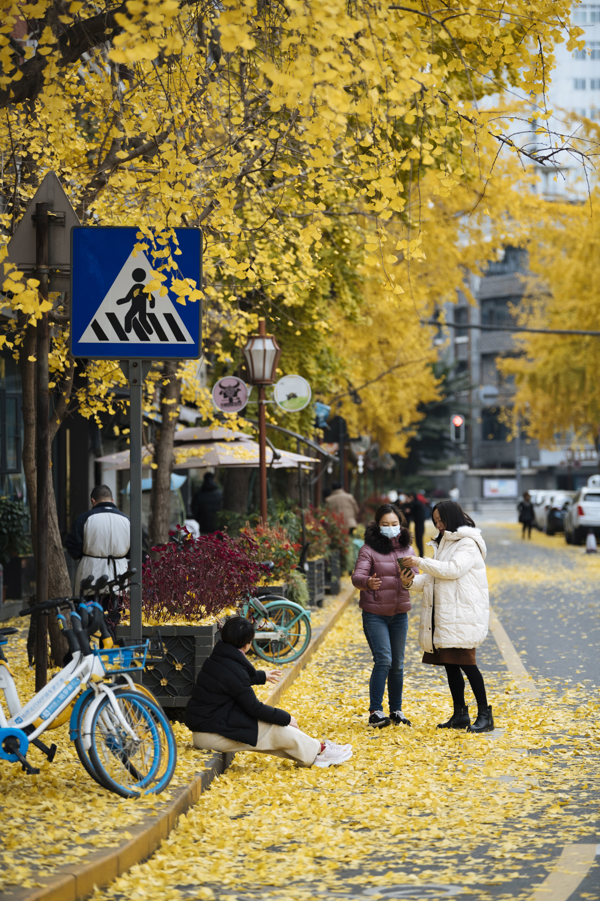 Paotongshu Street view