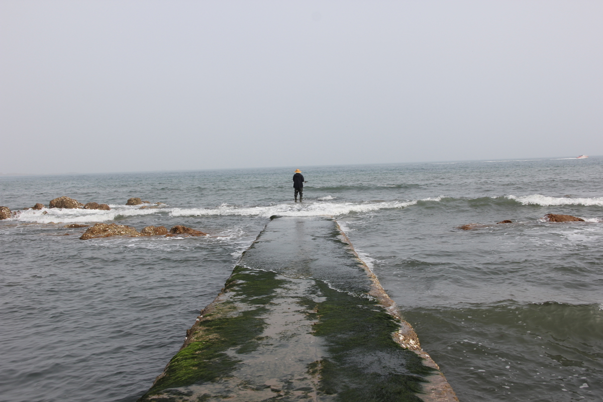 Qingdao Coastal View