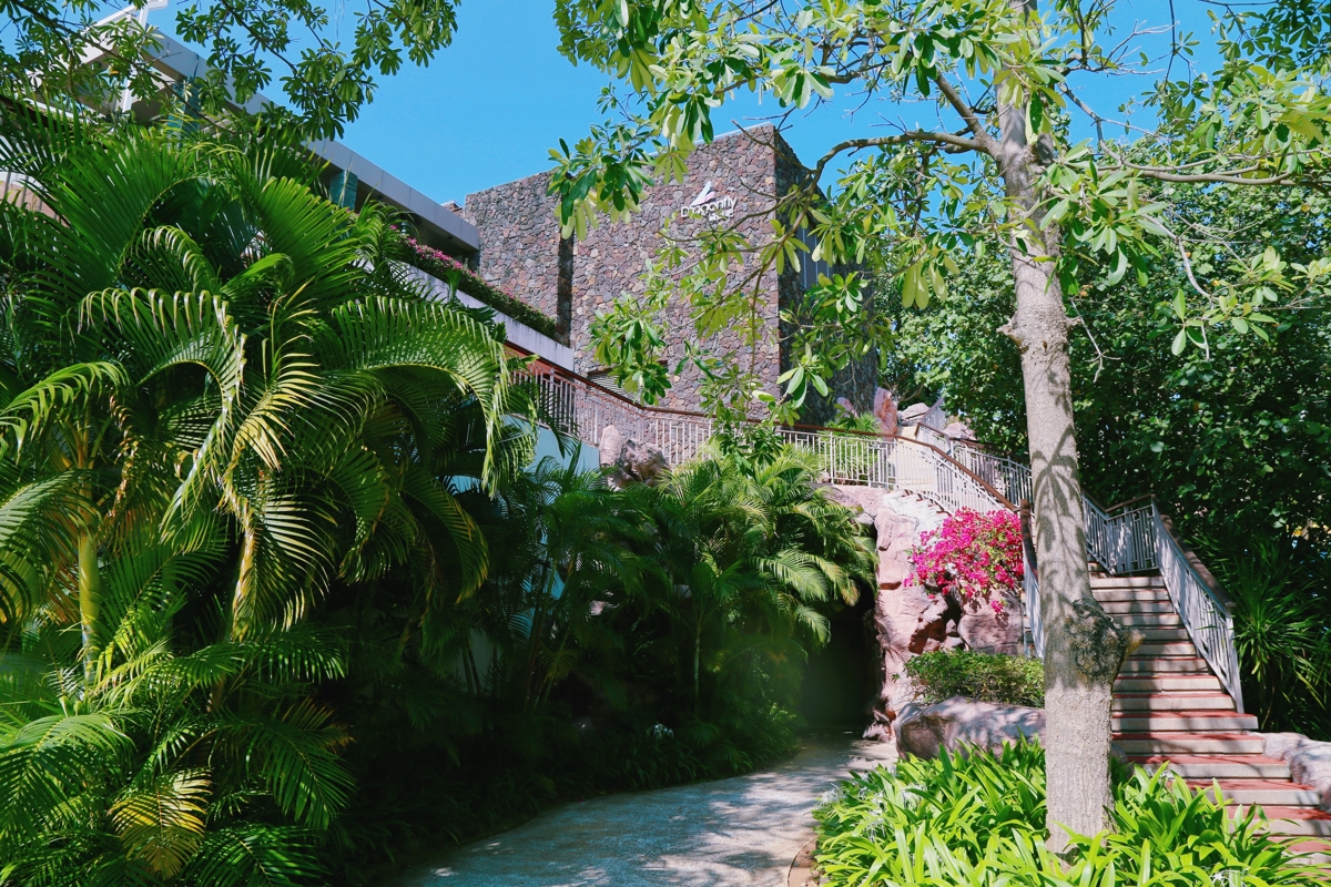 Dragonfly Bar sunset view