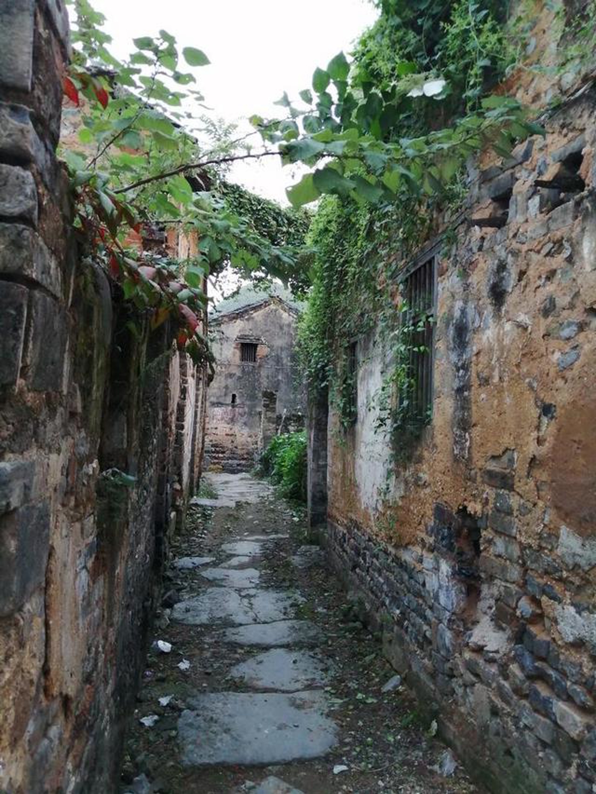 Washing stones by the well