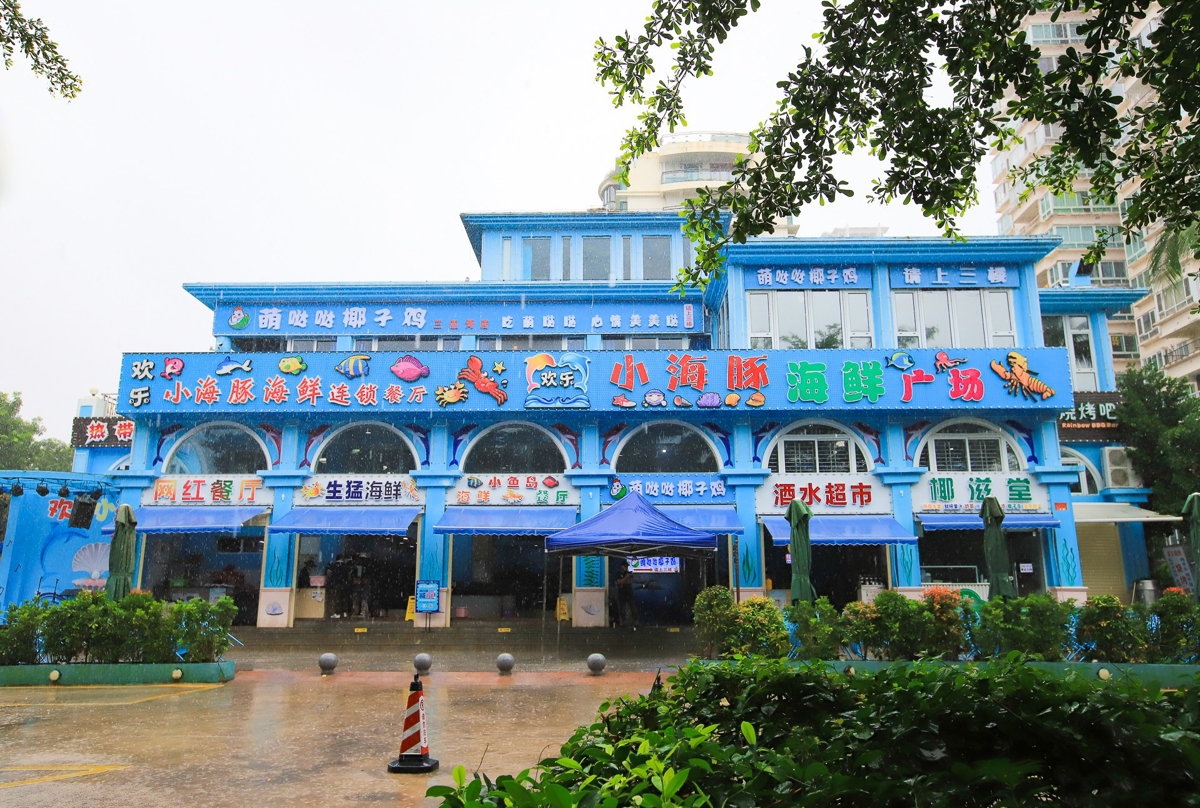 Little Dolphin interior