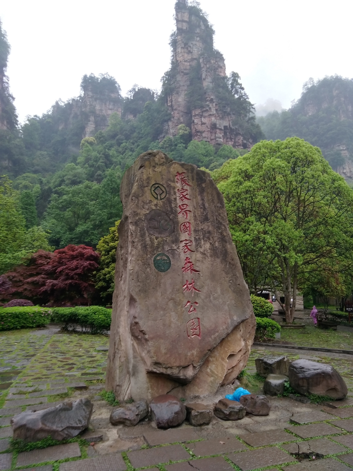 Yellow Dragon Cave formations
