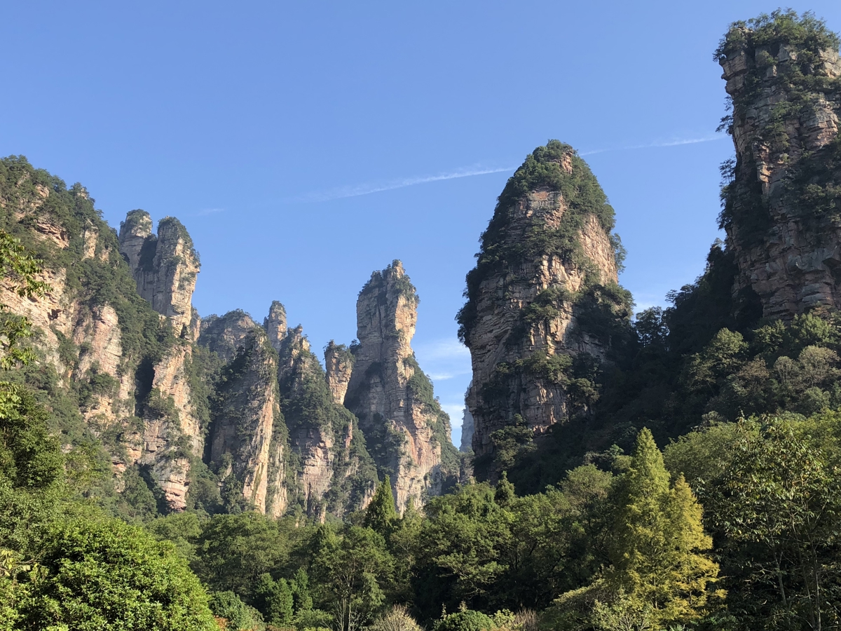 Forest Park entrance