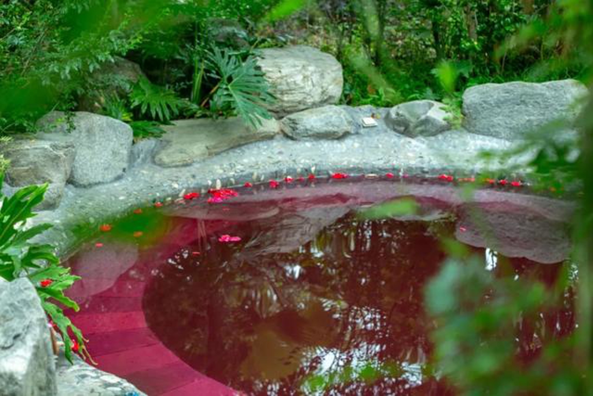 Flower Petal Pool