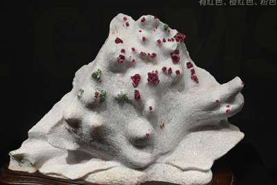 Chengdu Natural History Museum