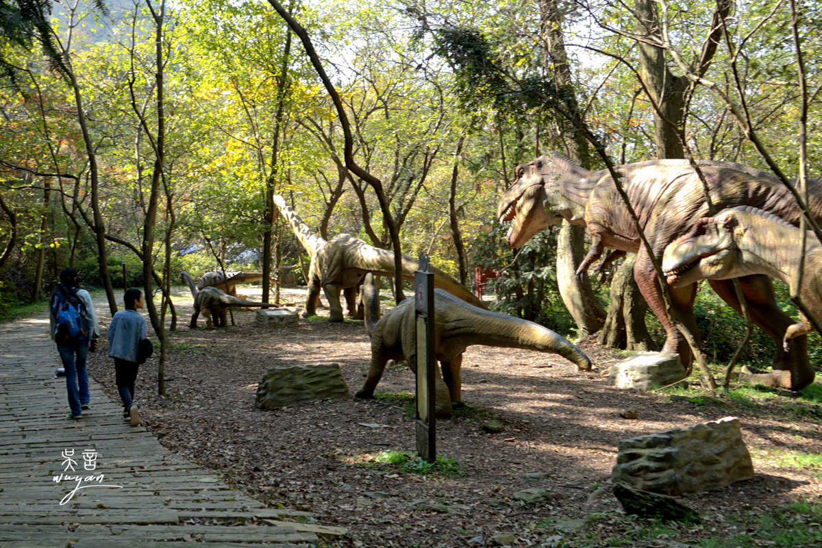 Prehistoric Valley Views