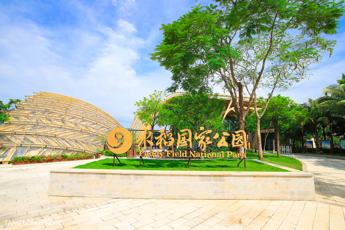 Golden rice entrance