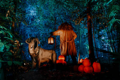 Harry Potter: Forbidden Forest Experience – Shenzhen