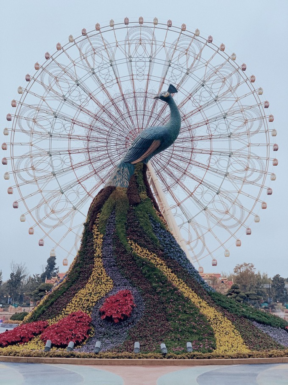 Colorful Yunnan Paradise