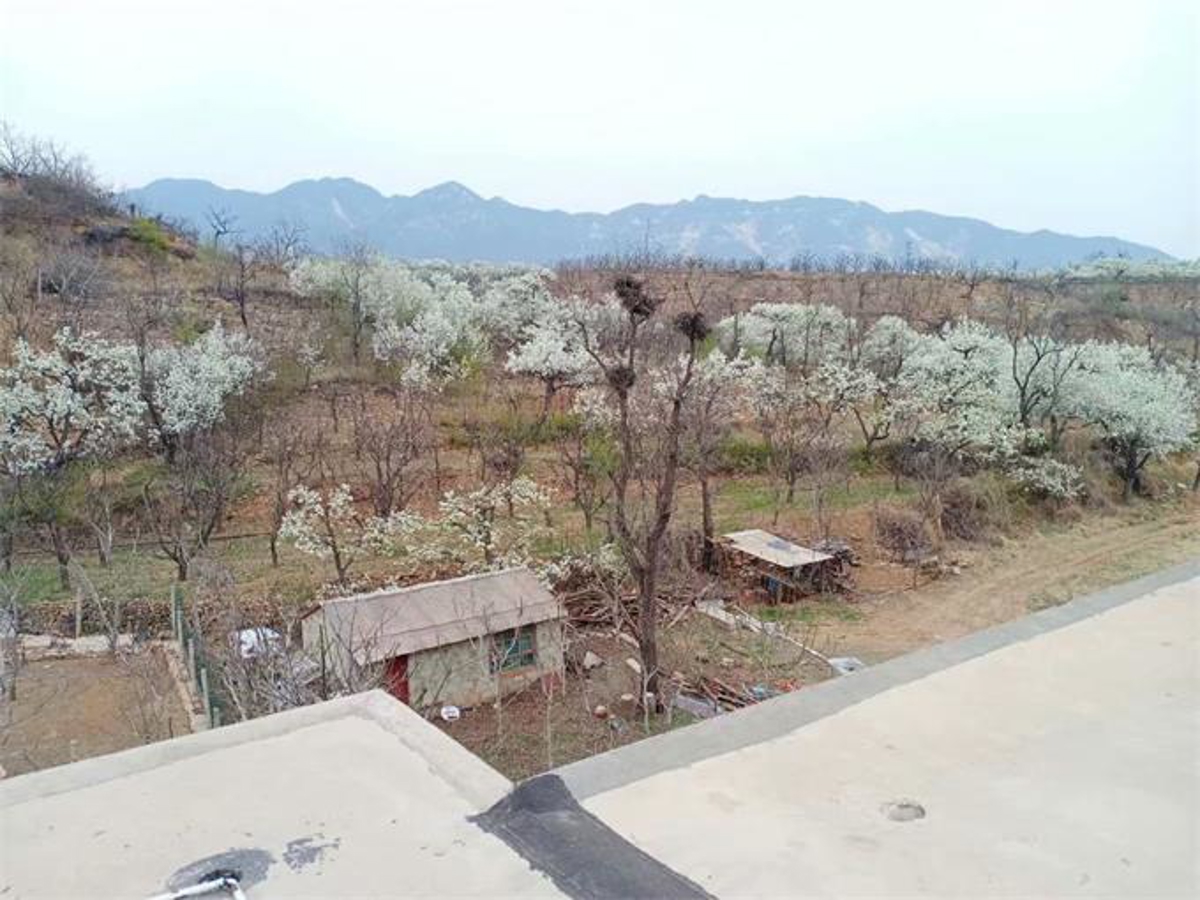 Farmhouse exterior in spring