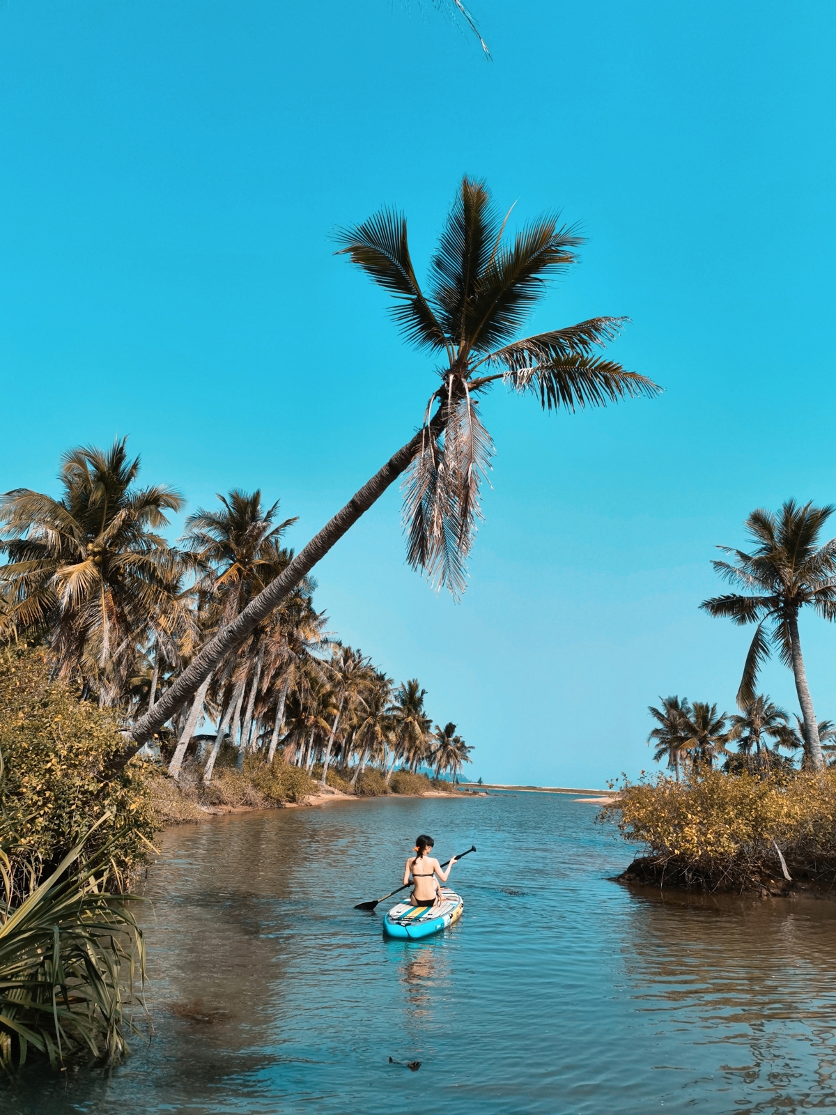 Coconut grove paddleboarding