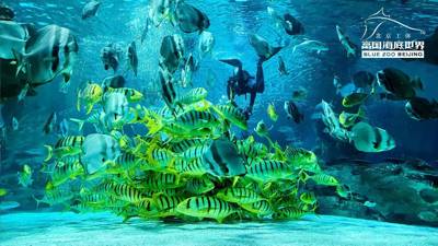 Fuguo Underwater World