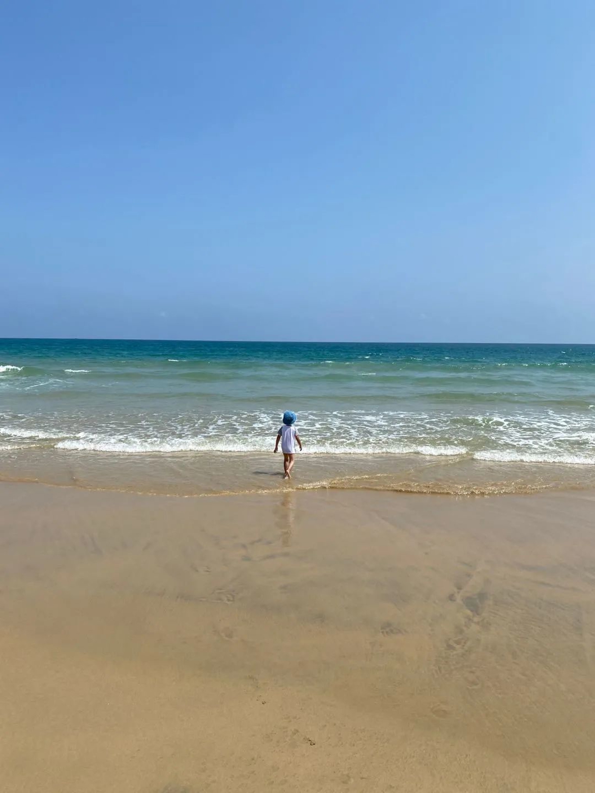 Cable car to Monkey Island