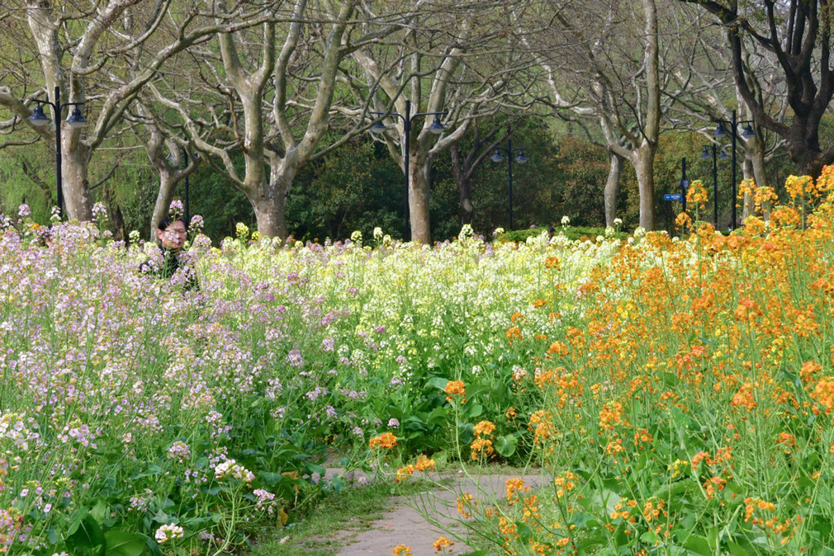 Colorful flowers with visitors